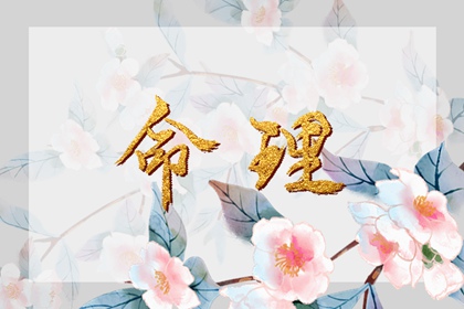 八字查命,测八字排盘解析,八字36种命格,生辰时间,连奕名八字